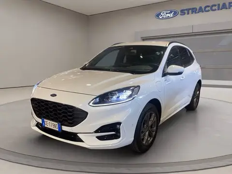 Used FORD KUGA Hybrid 2021 Ad 