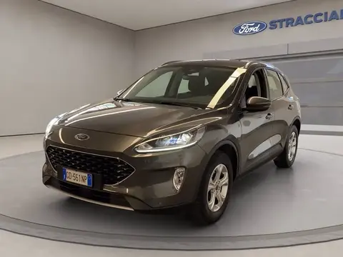 Used FORD KUGA Diesel 2021 Ad 