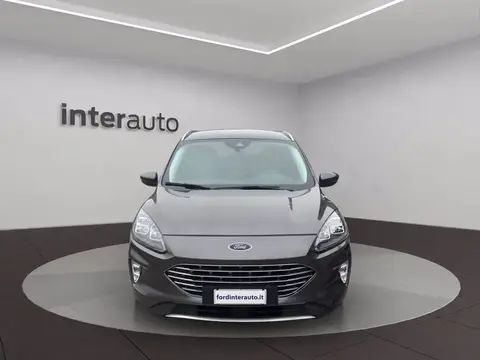 Used FORD KUGA Petrol 2022 Ad 