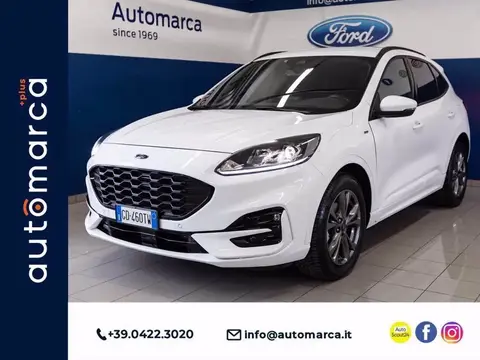 Used FORD KUGA Petrol 2021 Ad 