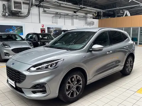 Annonce FORD KUGA Diesel 2020 d'occasion 