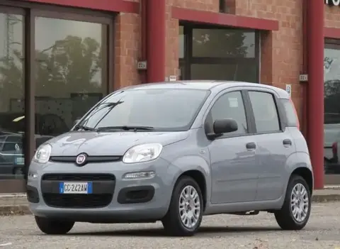 Used FIAT PANDA Hybrid 2021 Ad 