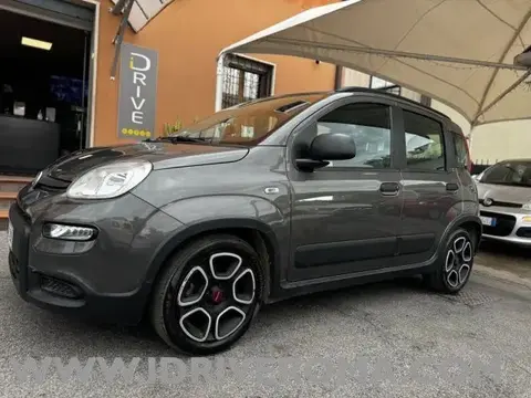 Annonce FIAT PANDA Essence 2022 d'occasion 