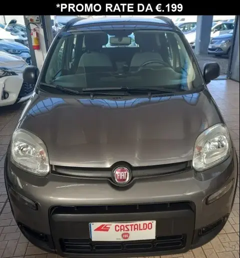 Used FIAT PANDA Hybrid 2022 Ad 