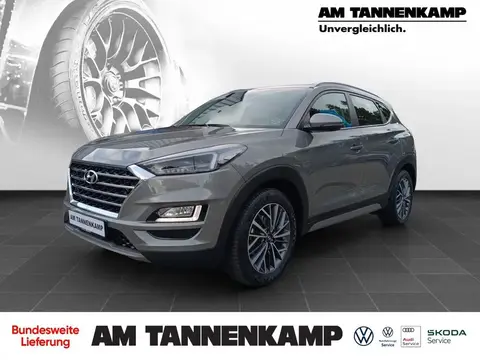 Used HYUNDAI TUCSON Diesel 2019 Ad 