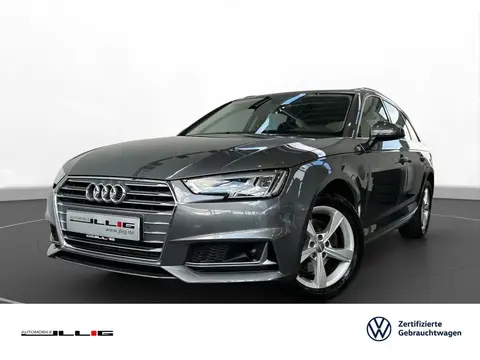 Used AUDI A4 Petrol 2019 Ad 