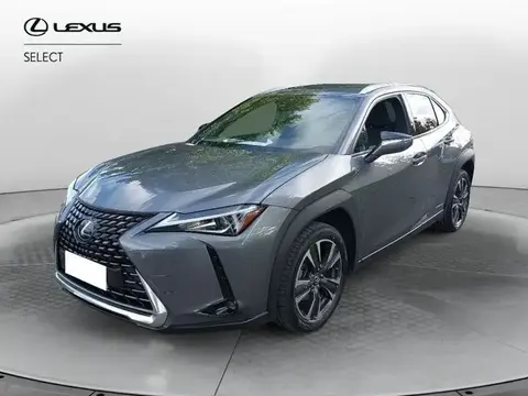 Used LEXUS UX Hybrid 2019 Ad 