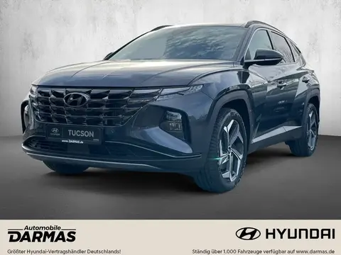 Annonce HYUNDAI TUCSON Essence 2024 d'occasion 