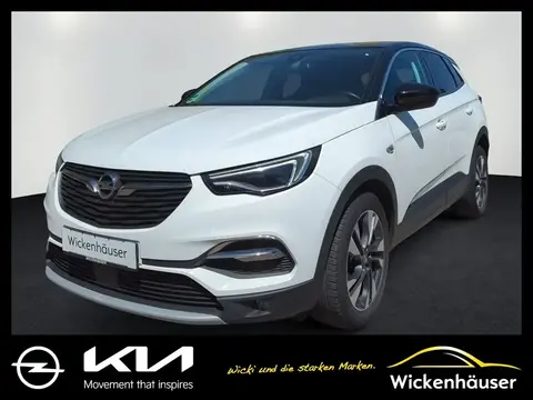 Used OPEL GRANDLAND Petrol 2019 Ad 