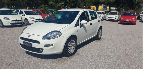 Annonce FIAT PUNTO Diesel 2018 d'occasion 