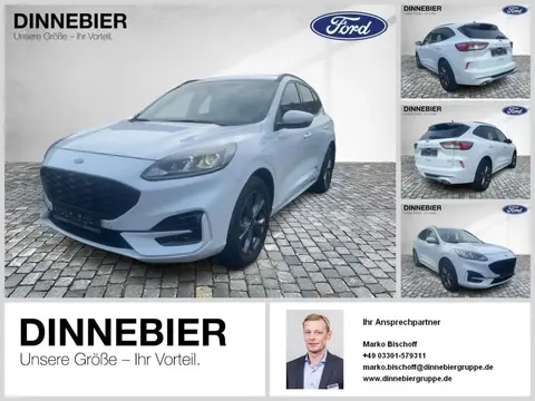 Annonce FORD KUGA Hybride 2021 d'occasion 