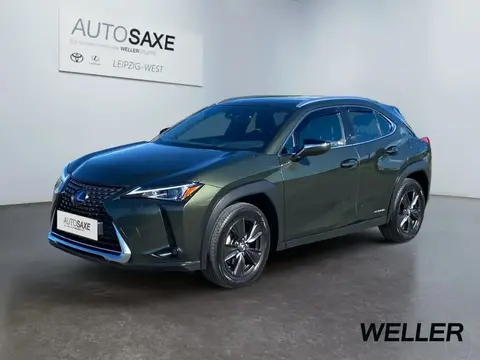 Used LEXUS UX Hybrid 2019 Ad 