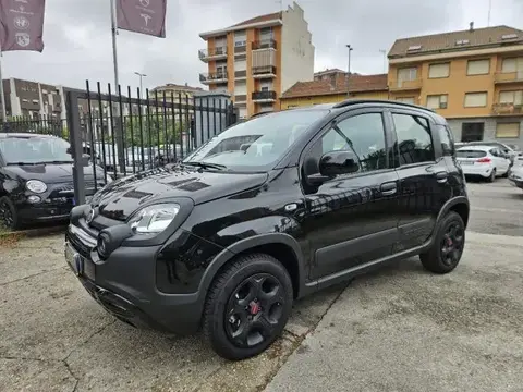 Annonce FIAT PANDA Hybride 2023 d'occasion 