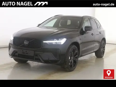 Used VOLVO XC60 Hybrid 2024 Ad 