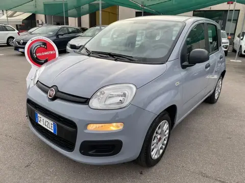 Used FIAT PANDA Petrol 2021 Ad 