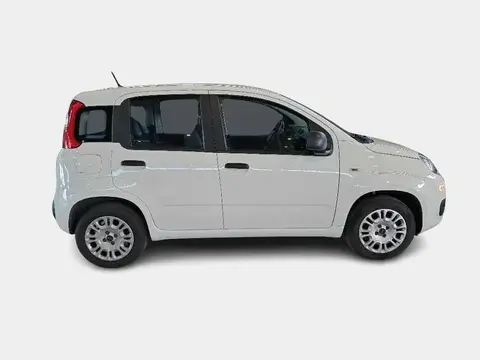 Used FIAT PANDA Petrol 2020 Ad 