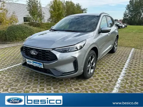 Used FORD KUGA Hybrid 2024 Ad 