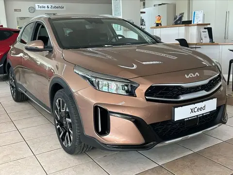 Annonce KIA XCEED Diesel 2023 d'occasion 