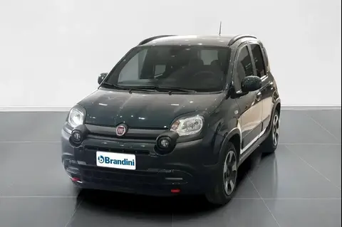 Annonce FIAT PANDA Hybride 2023 d'occasion 