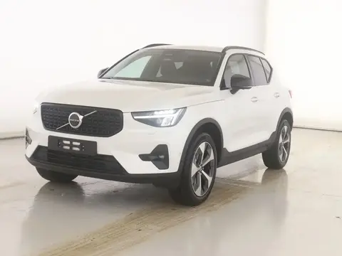 Used VOLVO XC40 Hybrid 2024 Ad 