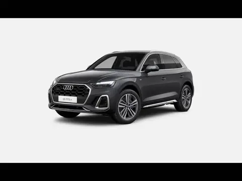 Used AUDI Q5 Hybrid 2024 Ad 