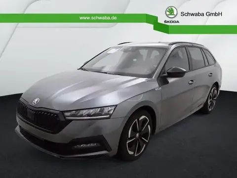 Used SKODA OCTAVIA Petrol 2024 Ad 