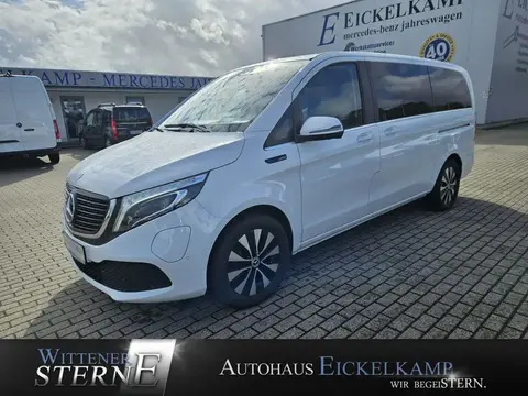 Used MERCEDES-BENZ EQV Not specified 2021 Ad 