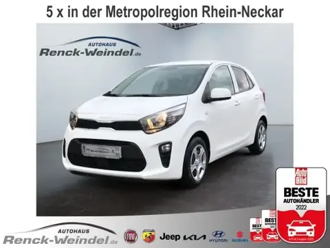 Used KIA PICANTO Petrol 2024 Ad 