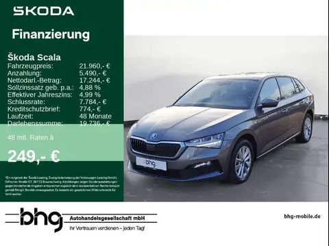 Used SKODA SCALA Petrol 2023 Ad 