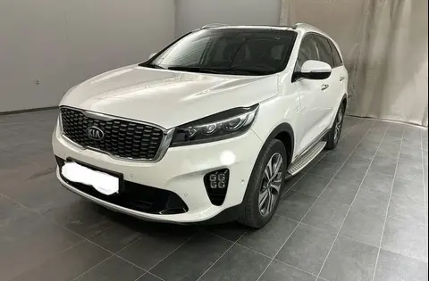 Annonce KIA SORENTO Diesel 2019 d'occasion 