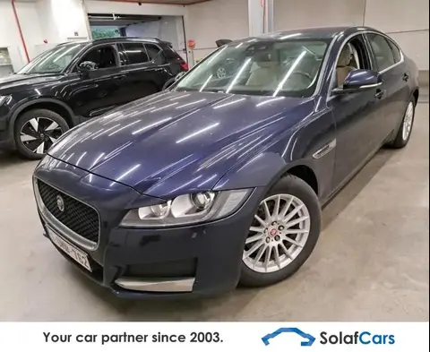 Used JAGUAR XF Diesel 2018 Ad 