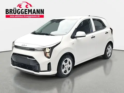 Used KIA PICANTO Petrol 2024 Ad 