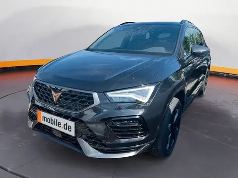 Annonce CUPRA ATECA Essence 2024 d'occasion 