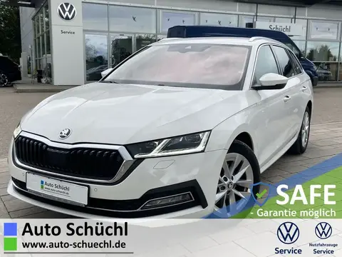 Used SKODA OCTAVIA Diesel 2020 Ad 