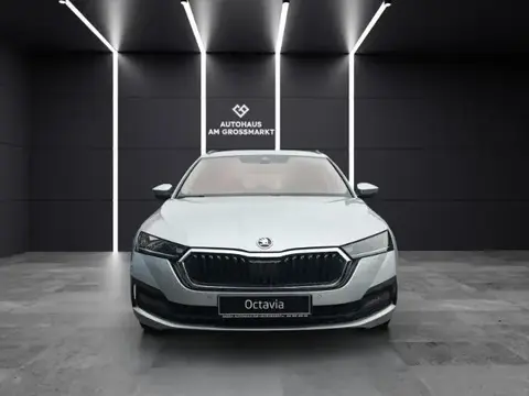 Annonce SKODA OCTAVIA Diesel 2021 d'occasion 