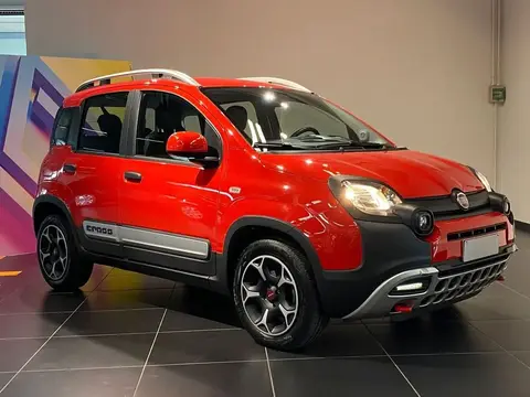 Annonce FIAT PANDA Hybride 2021 d'occasion 