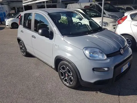 Annonce FIAT PANDA Hybride 2022 d'occasion 