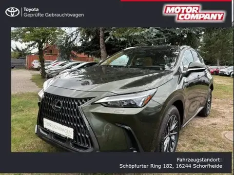 Annonce LEXUS NX Hybride 2022 d'occasion 