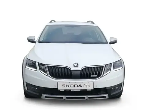 Used SKODA OCTAVIA Petrol 2018 Ad 