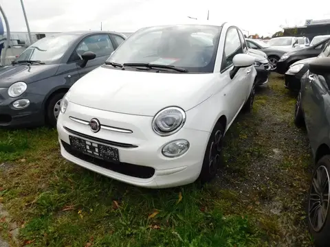 Used FIAT 500 Petrol 2022 Ad 