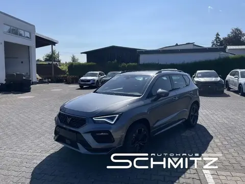 Annonce CUPRA ATECA Essence 2024 d'occasion 