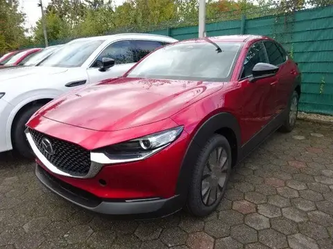 Used MAZDA CX-30 Hybrid 2024 Ad 