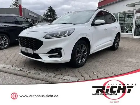 Used FORD KUGA Diesel 2021 Ad 