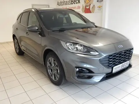 Used FORD KUGA Hybrid 2024 Ad 