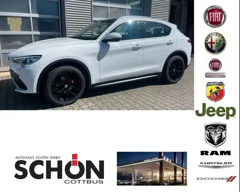 Used ALFA ROMEO STELVIO Diesel 2018 Ad 