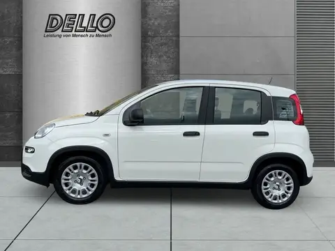 Annonce FIAT PANDA Essence 2024 d'occasion 