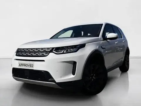 Used LAND ROVER DISCOVERY Hybrid 2021 Ad 