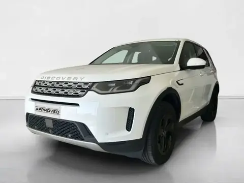 Used LAND ROVER DISCOVERY Hybrid 2023 Ad 