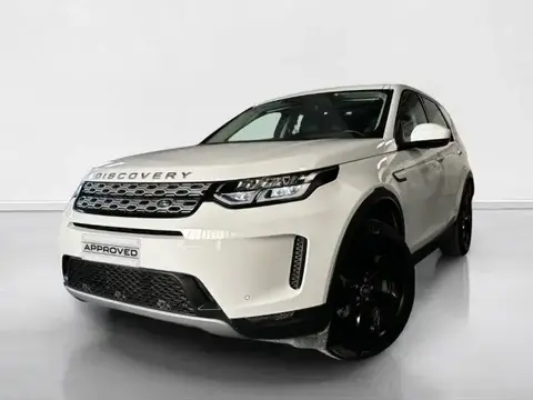 Used LAND ROVER DISCOVERY Hybrid 2021 Ad 