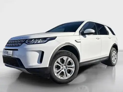 Used LAND ROVER DISCOVERY Hybrid 2020 Ad 